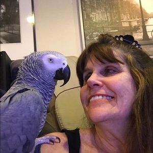 Meet your Posher, Kim